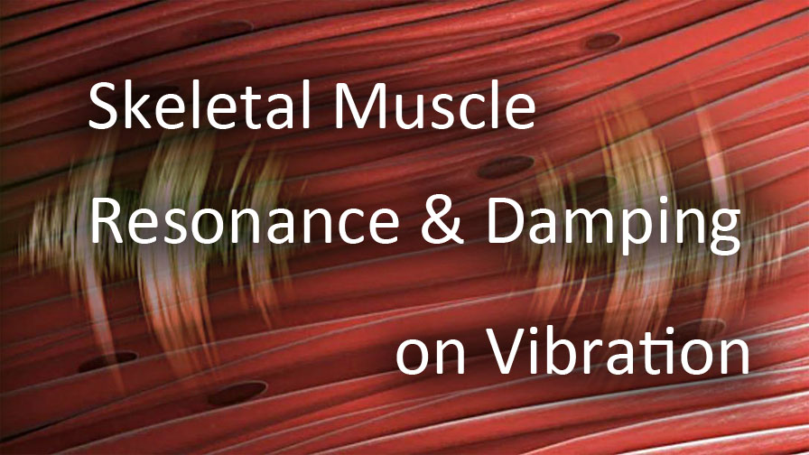 Muscle Resonance Frequency