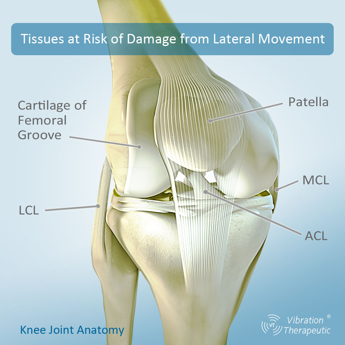 3D 4D vibration plate harm knees