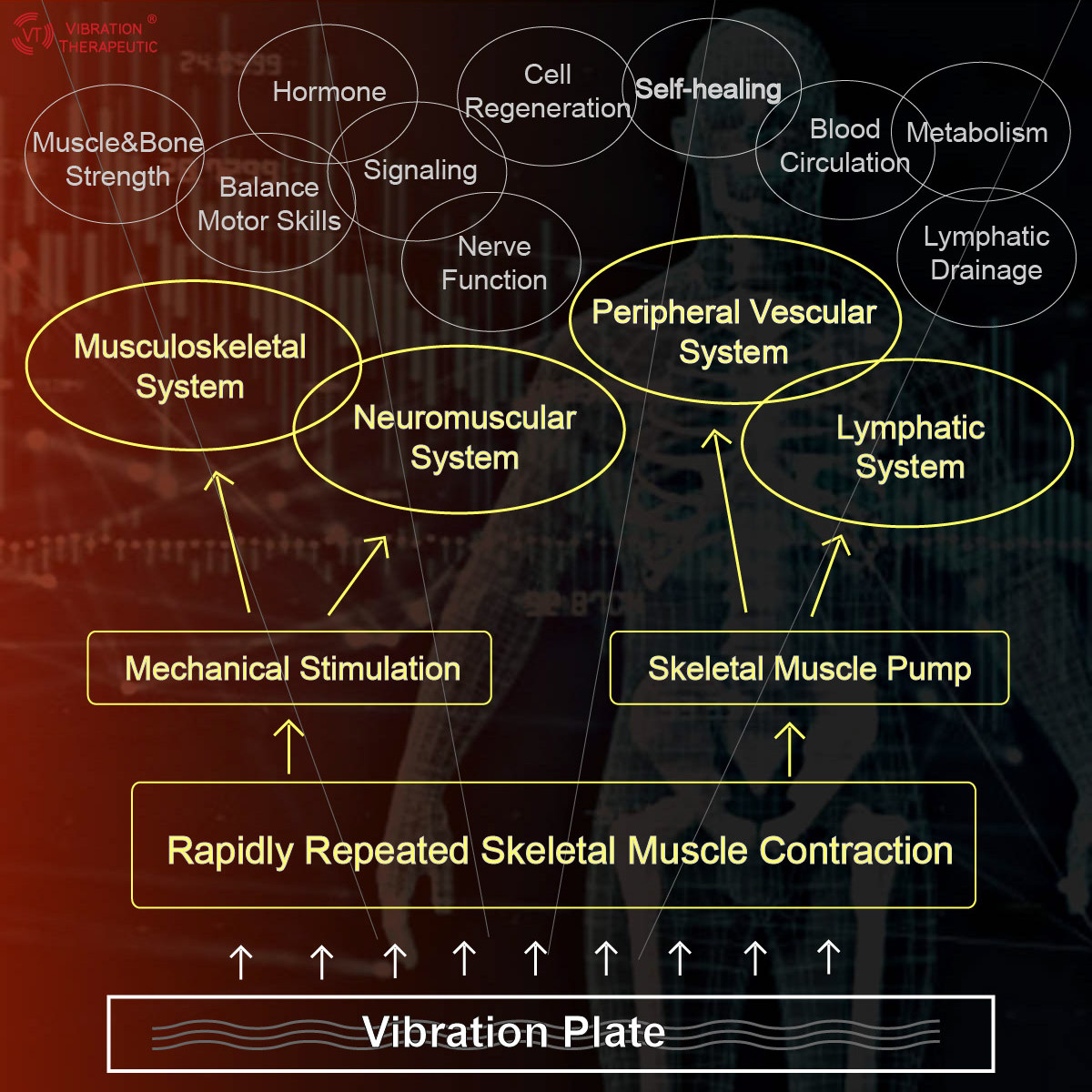 How does vibration therapy work?